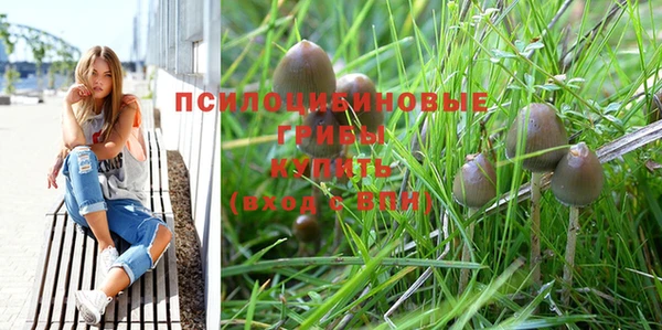 соль курить ск Алексин