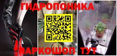 стаф Донецк