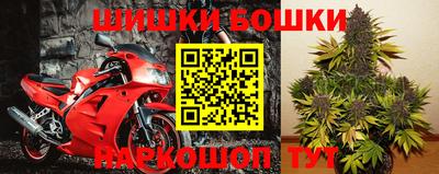 стафф Дубна