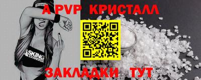 стафф Дубна