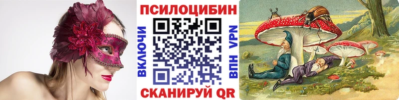 Псилоцибиновые грибы мицелий Мыски