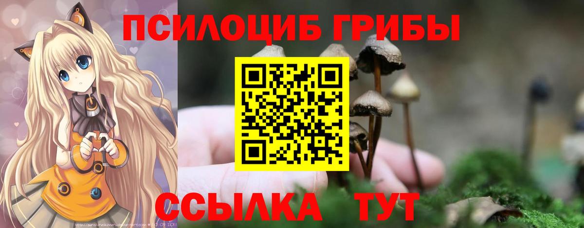 Мыски  Псилоцибиновые грибы Magic Shrooms  Псилоцибиновые грибы GOLDEN TEACHER  Вход с VPN 
